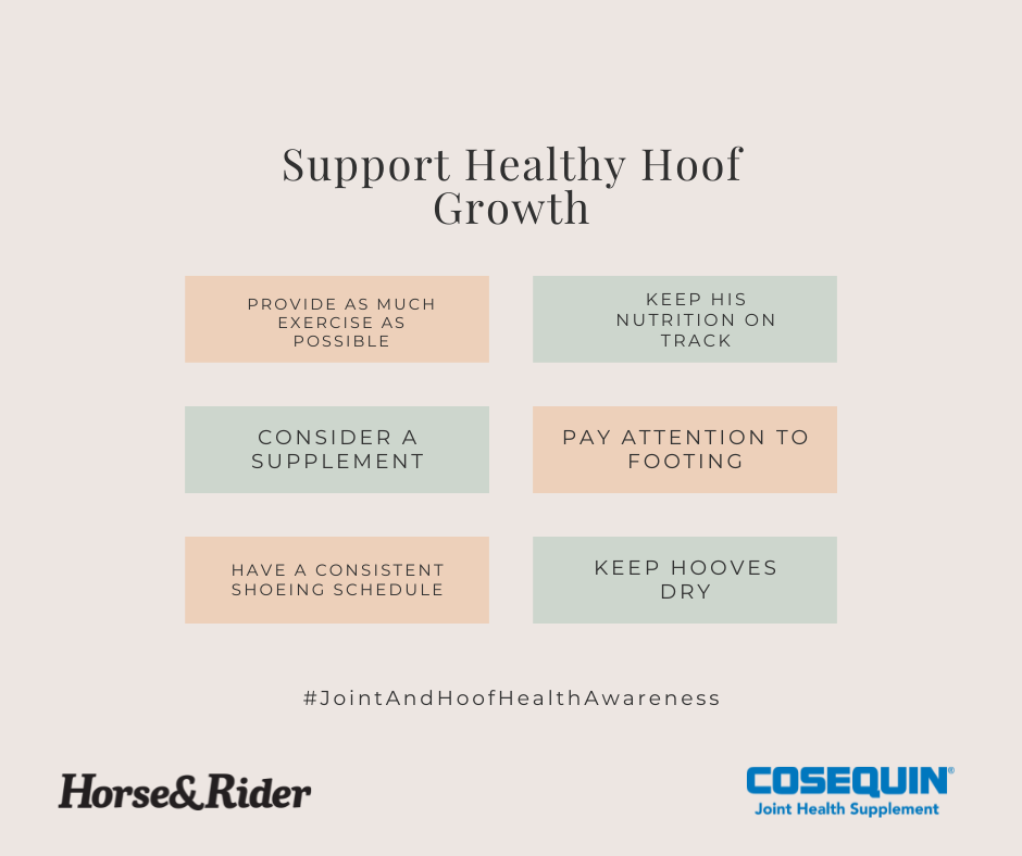 Learn how you can support healthy hoof growth.