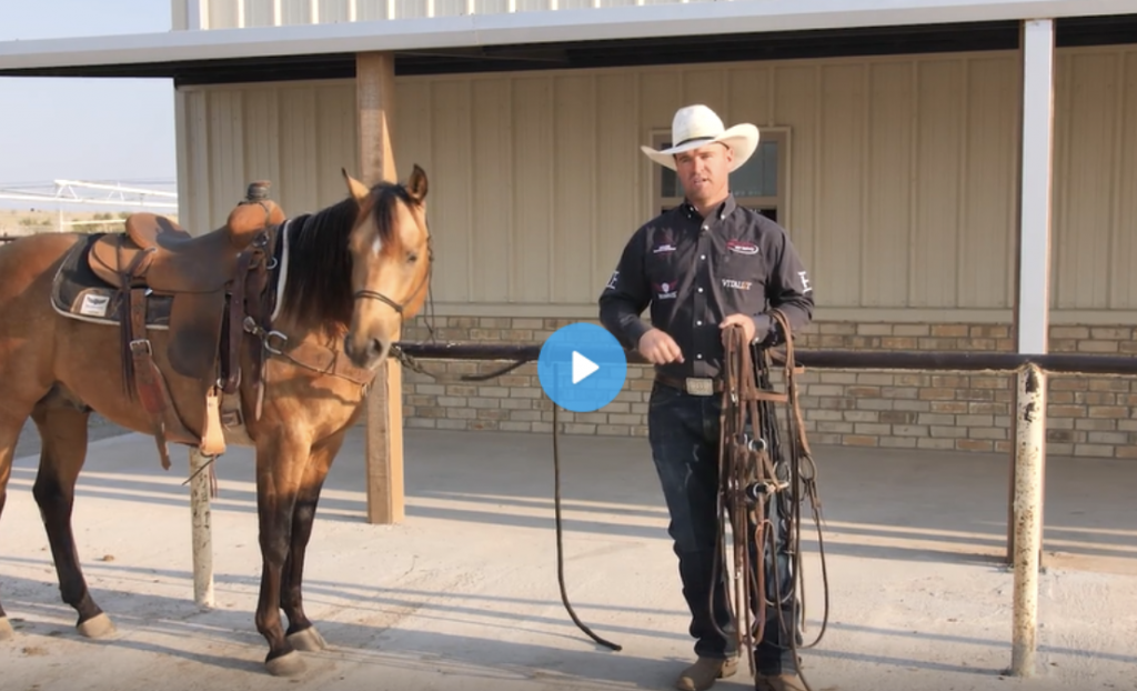 Miles baker and colt with bridles