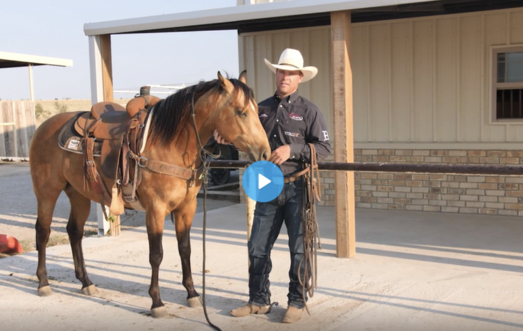 Miles Baker next to a buckskin horse