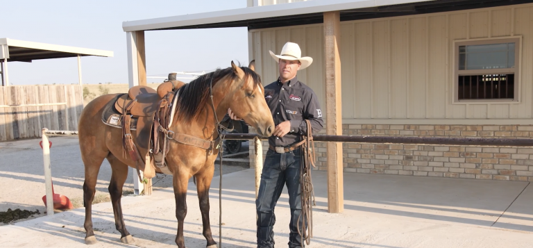 Miles standing next to horse with bridle