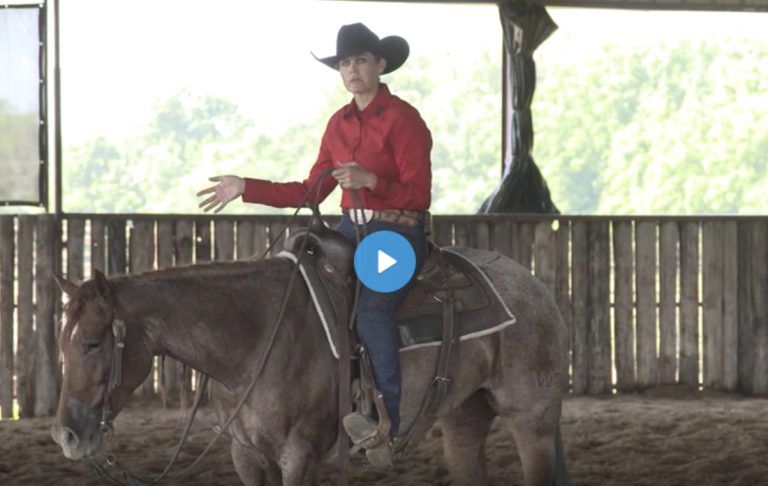 Screenshot-2023-01-13-at-11.32