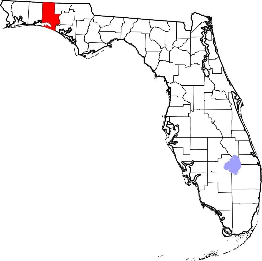 A 16-year-old Quarter Horse in Walton County, Florida, is positive for strangles, and two other horses are exposed.