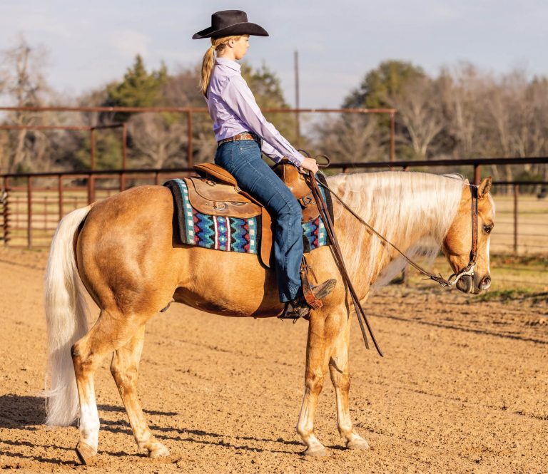 HR_23SPG_Confident Rider know your horse