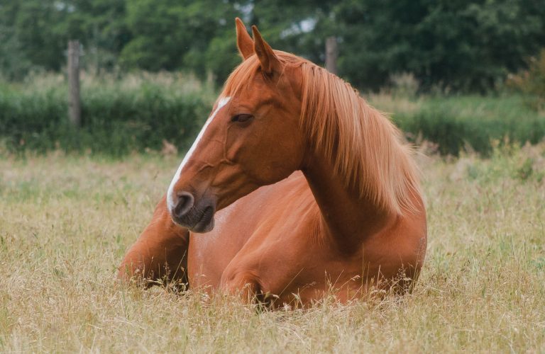 HR_23SPG_Health-sleep-deprivation