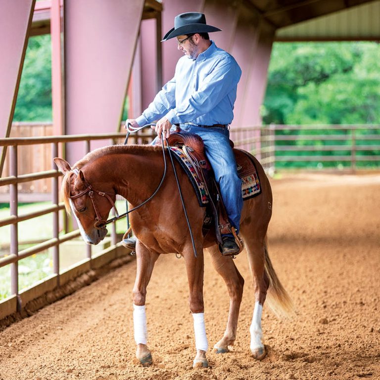 HR_23SPG_Private Lesson Peter DeFreitas Leg Pressure 04