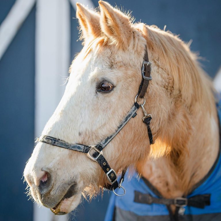 MicrosoftTeams-image-2
