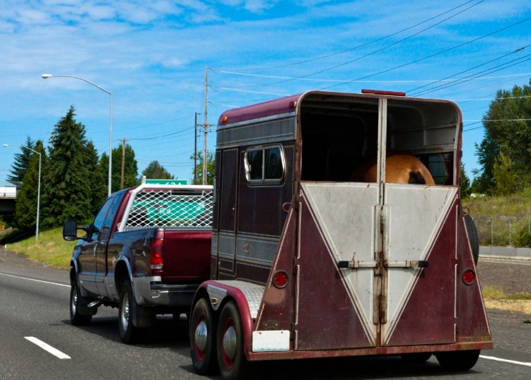 Truck hauling horse trailer. Horizontal