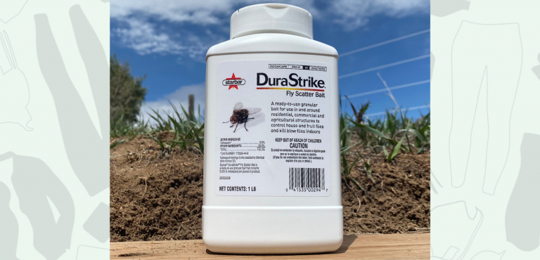 AskAnnie HR Header Episode 70