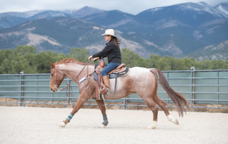 Trainer, Julie Goodnight, loping horse in arena