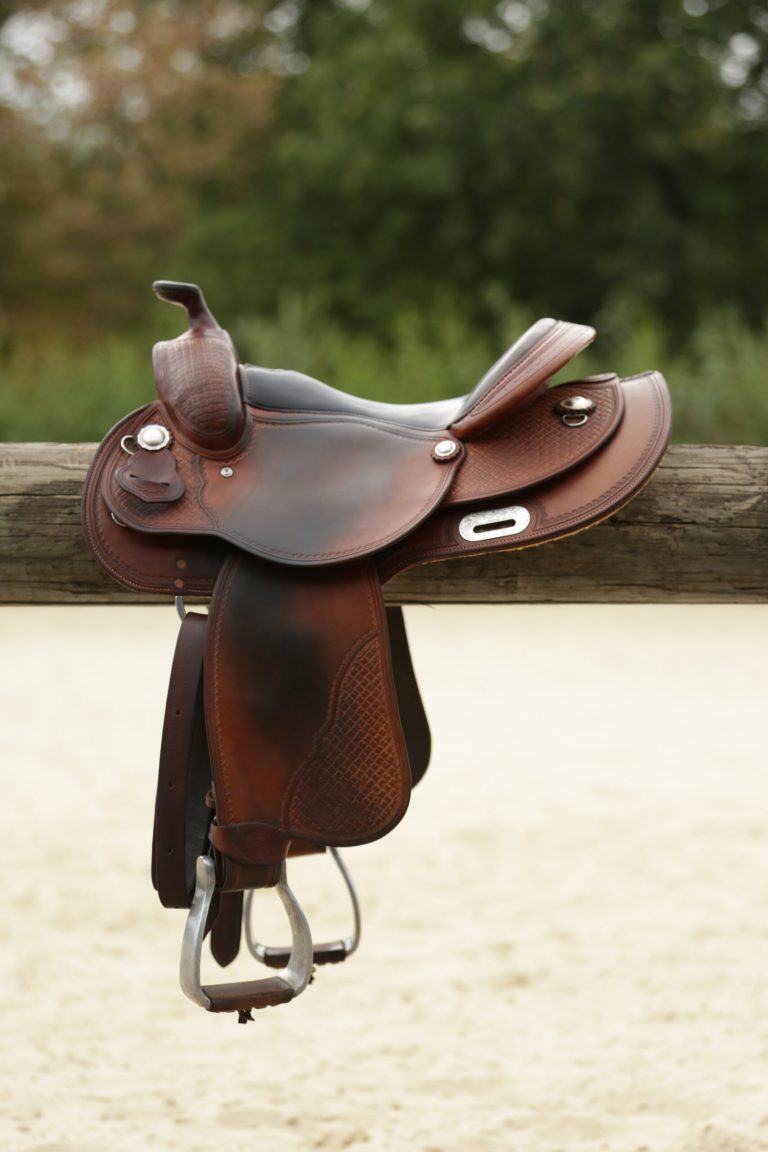Western Saddle