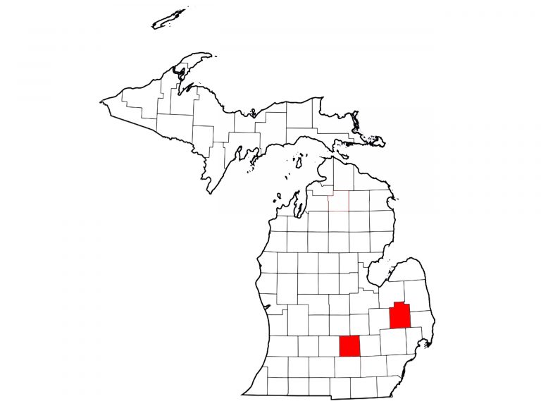 MICHIGAN_