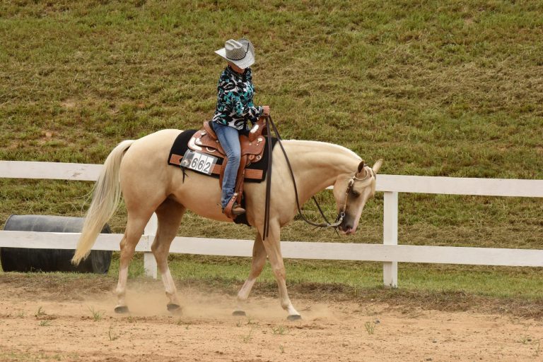 Summer western horse show