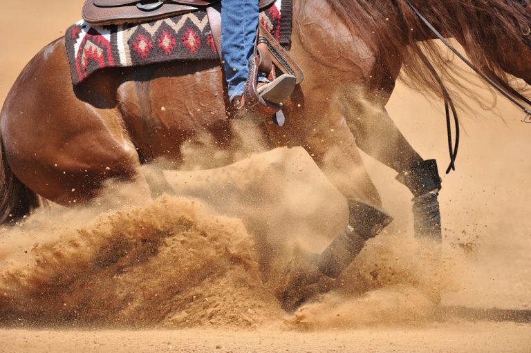 HR_23BON_Barb Crabbe Things Take Time 02