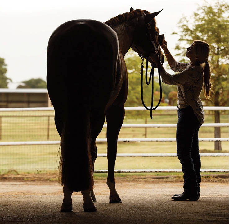 HR_23BON_Confident Rider 02