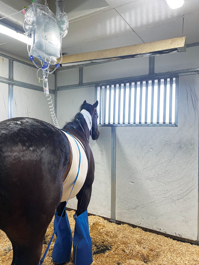 HR_23BON_Edit Letter Colic