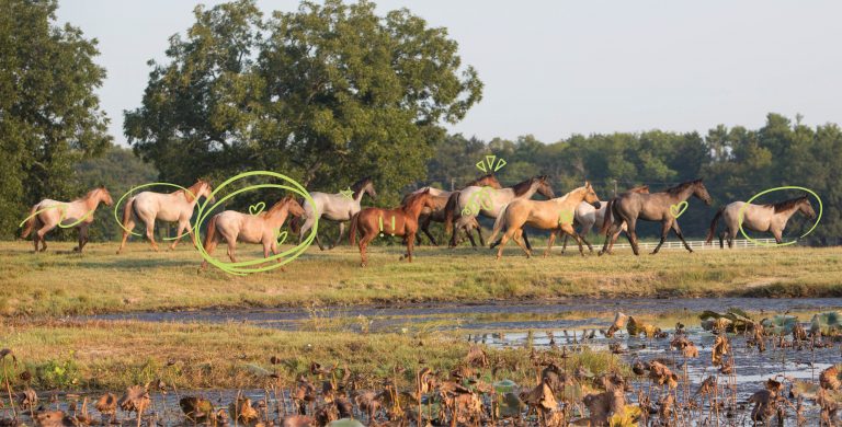 HR_23BON_Pick a Performance Prospect_01