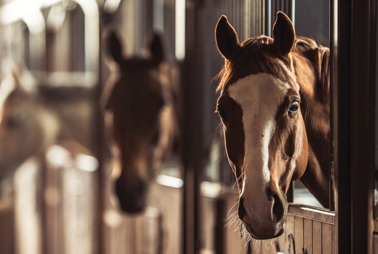 HR_23BON_Your Mood_BON23 01