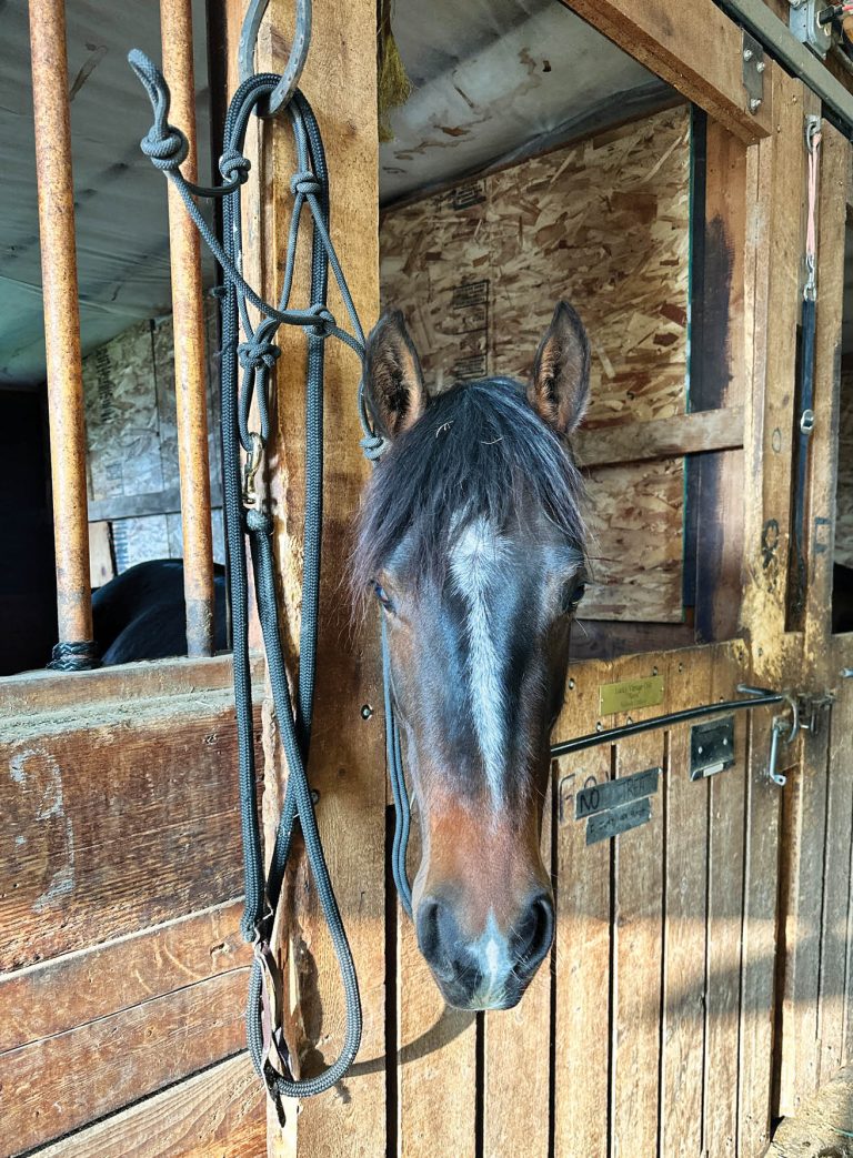 HR_23SUM_Edit Letter