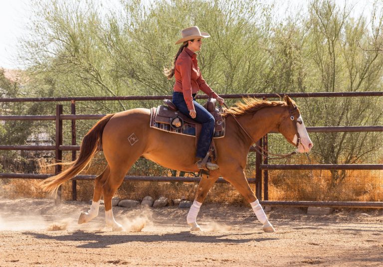 HR_23SUM_Problem Solved_Al-Dunning-02