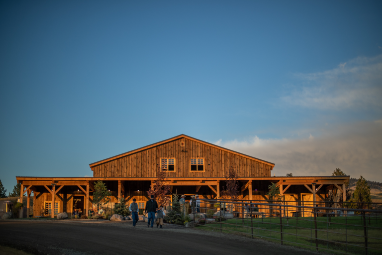 League of Legends Horse Sale 2022 -137[59]