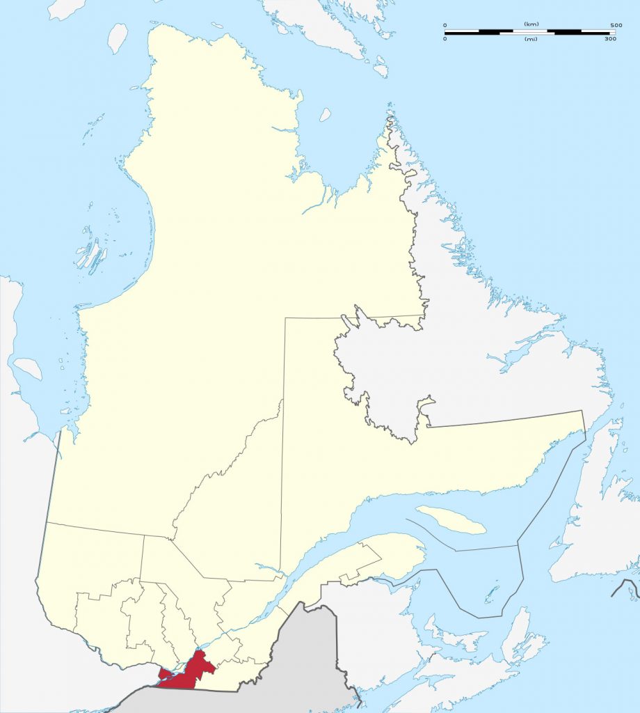Equine influenza has been confirmed in Montérégie and MRC Pierre-de-Saurel, Quebec, and the affected horses are under quarantine. 