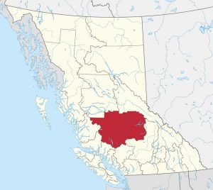 One horse in Cariboo Subdivision E, British Columbia, has tested positive for equine infectious anemia (EIA).