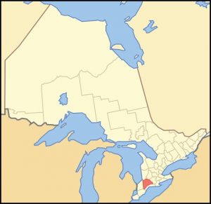 A Standardbred colt in Middlesex County, Ontario, is positive for EHV-1, and nine additional horses are exposed.