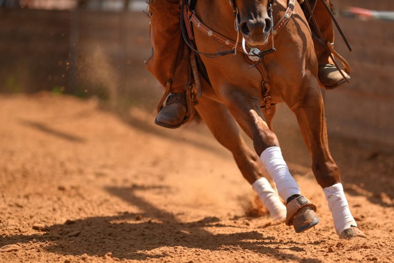 The rider on a reining horse slides to a stop in the red clay an
