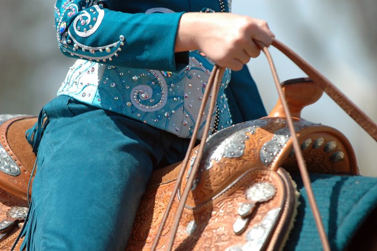 Western Pleasure Horse Showmanship