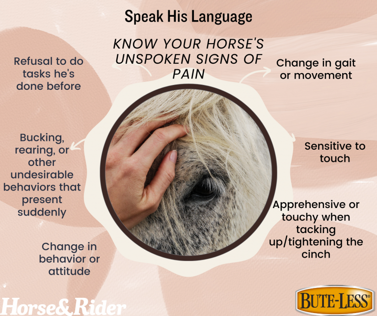 Know-Their-Cues-Watch-for-Pain