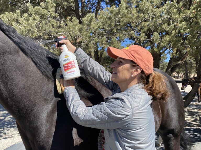 ShowSheen_Social_JulieGoodnight_InUse