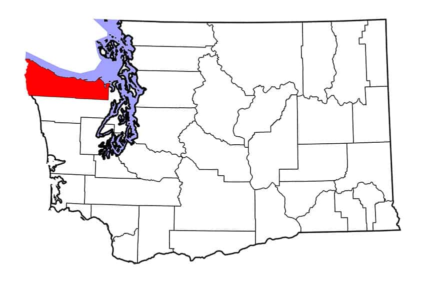 A horse in Clallam County, Washington, was confirmed positive for strangles after living in a stall next to another positive horse. 