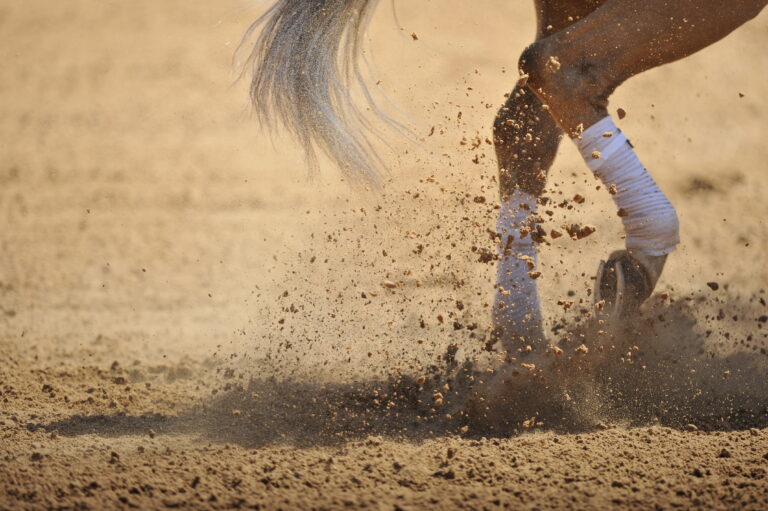 Fragment of a horse legs running in the dust