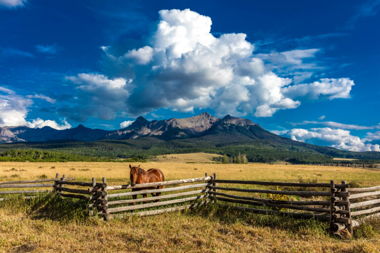 Horse overlooks worm western fence in front of San Juan Mountains in Old West of Southwest Colorado near Ridgway