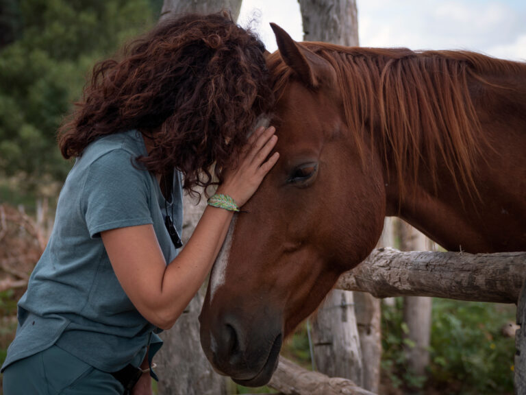 Close up of brunette woman forming bond with an anglo- arab hors
