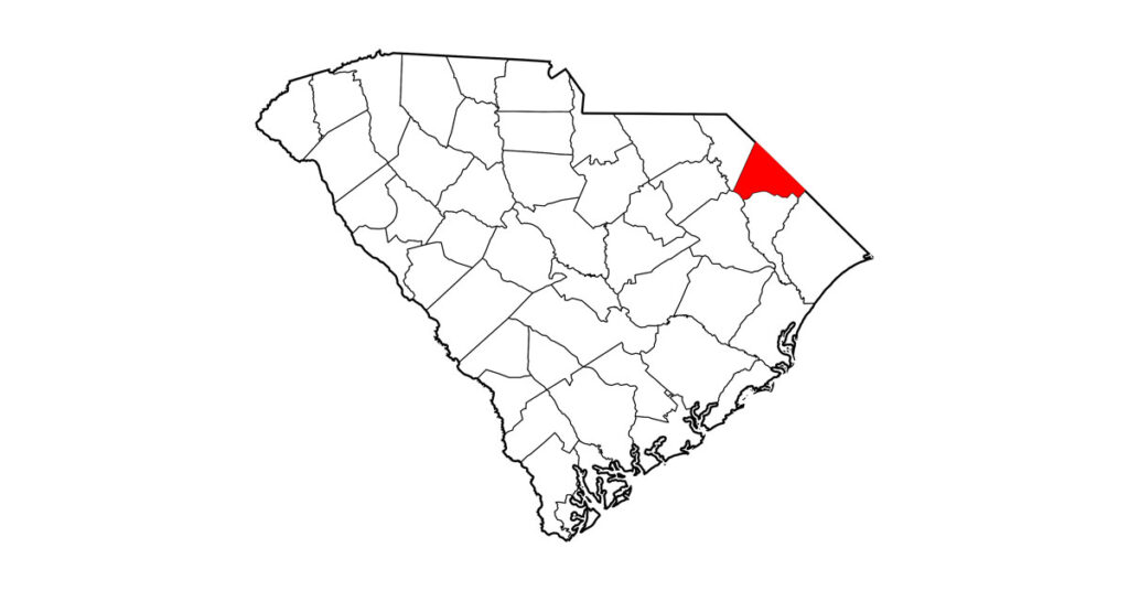 A 13-year-old gelding in Dillon County, South Carolina, was confirmed positive for West Nile virus (WNV) and is deceased. 