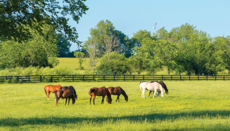 HR_23FALL_Confident Rider_02