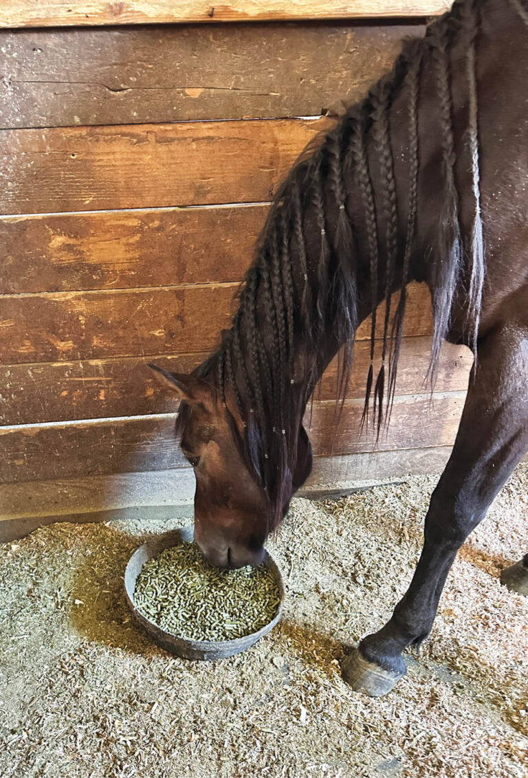 HR_23FALL_Edit Letter