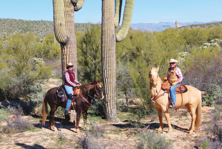 HR_23FALL_FEAT KRONES Off the Grid Horse Camp_01