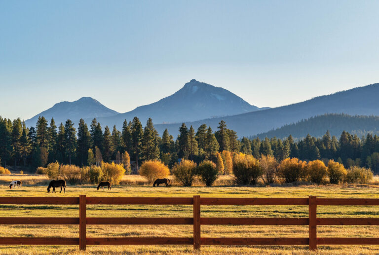 HR_23FALL_Horsekeeping_01