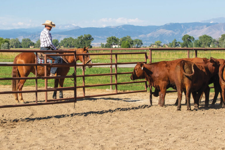 HR_23FALL_Problem Solved_Al Dunning_01