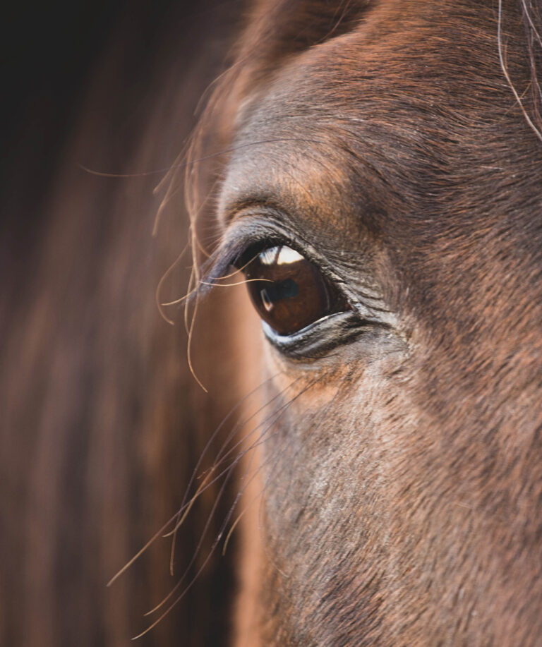 HR_23FALL_Social License_01