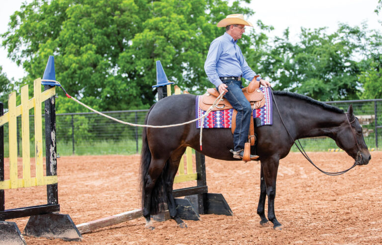 HR_23FALL_Winning Insights_Robin Frid_02