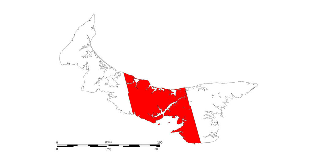 Twelve horses in Queens County, Prince Edward Island, were confirmed positive for equine viral arteritis, and multiple newborn foals have died in this outbreak.