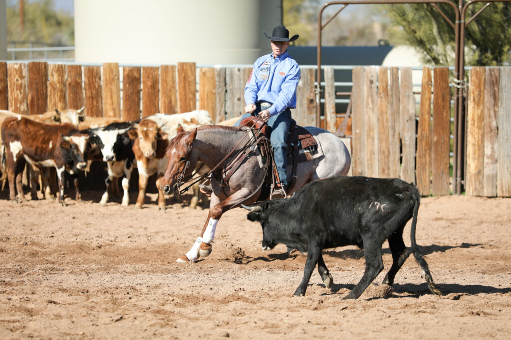 NRCHA on Horse&Rider OnDemand