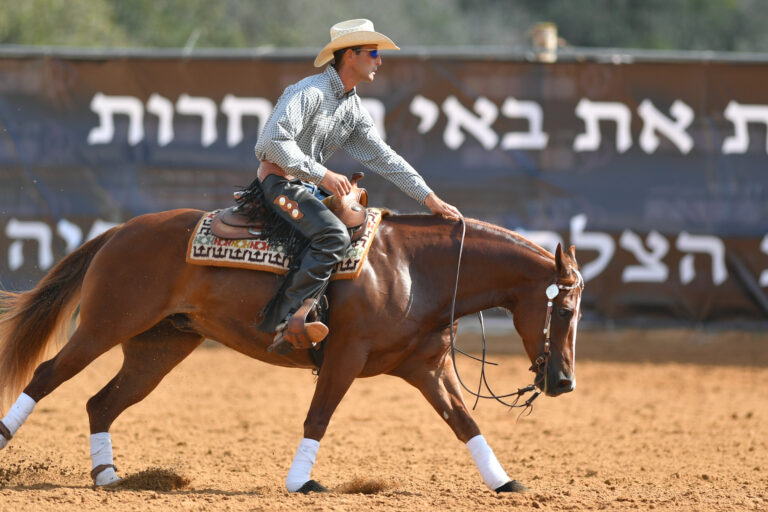 The side view of a rider in cowboy chaps, boots and hat on a horseback performs an exercise during a competition