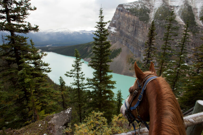 horseback riding through Lake Louise Banff