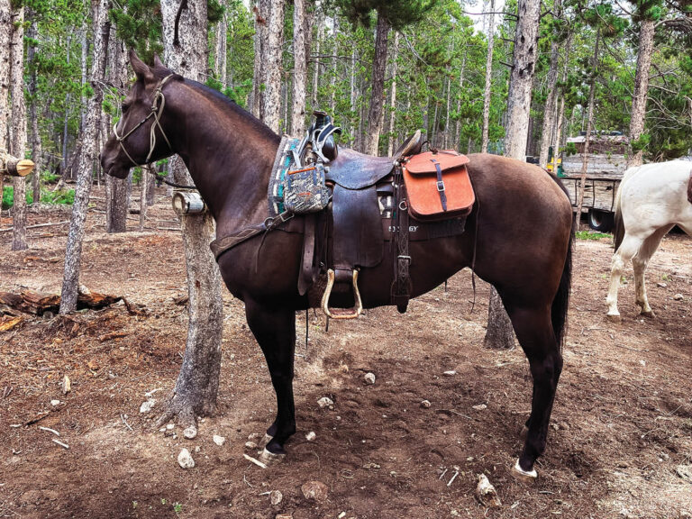 HR_23WIN_Inspired Rider_Kelly-Altschwager