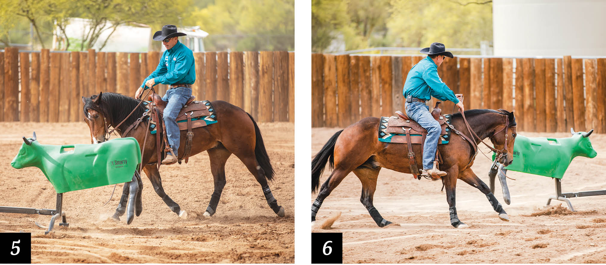 Western Riding Problem Riders No Cow? No Problem - Horse&Rider