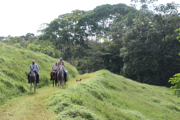 Horses and rider in Costa Rica.